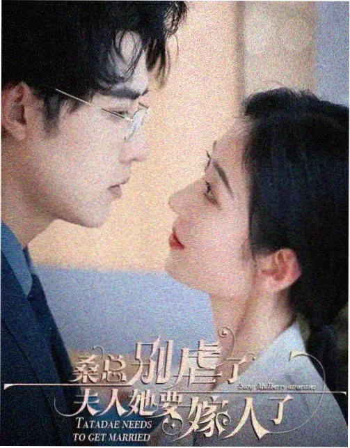 琥珀标本作品封面